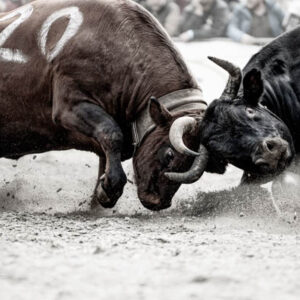 Raclette Les Haudères.
